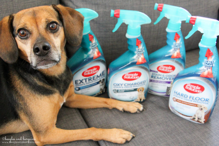Start Your Spring Cleaning with Simple Solution - Now Available at Petco - {cleaning, pets, dogs}