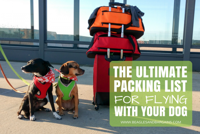 The Ultimate Packing List for Flying With Your Dog {For Beginners} | #sponsored by Sleepypod | Dogs, Airplane, Pet Friendly, What to Bring