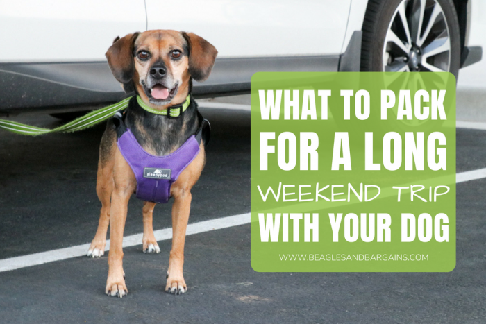 What to Pack for a Long Weekend with Your Dog | #sponsored by Sleepypod {travel, pet friendly, printable, vacation, road trip, packing list}
