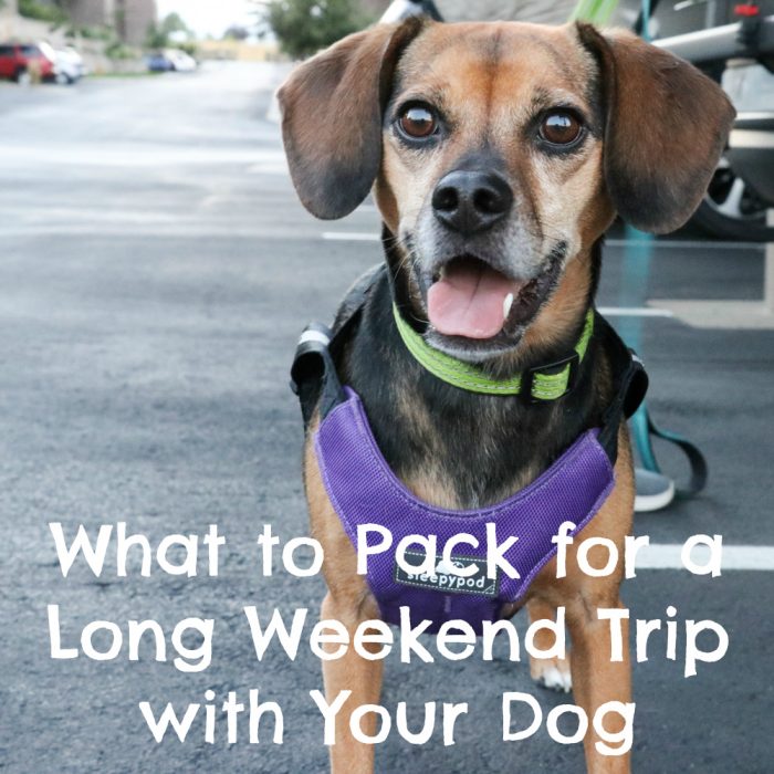 What to Pack for a Long Weekend with Your Dog | #sponsored by Sleepypod {travel, pet friendly, printable, vacation, road trip, packing list}