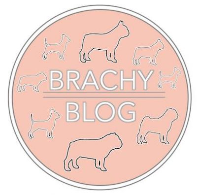 Brachy Blog