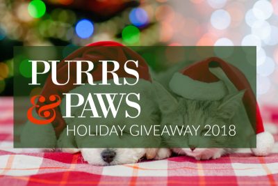 Purrs & Paws Holiday Giveaway | Pet Blogger Christmas Giveaway
