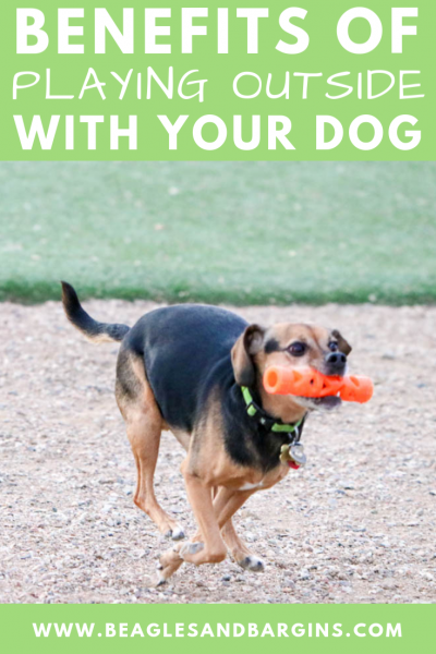 Benefits of Playing with Your Dog | Stocking Stuffer Giveaways | Win a Petmate Chuckit! Dog Toy Prize Pack | #sponsored by Petmate