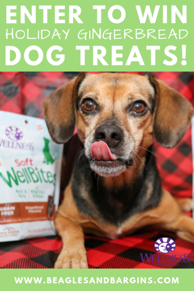 How to Include Your Dog in Your Holiday Plans | Stocking Stuffer Giveaways | Win Wellness Gingerbread Crunchy WellBars & Gingerbread Soft WellBites | #sponsored by Wellness