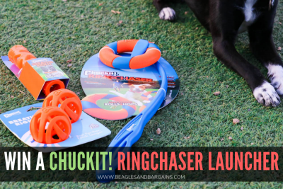 Benefits of Playing Outside with Your Dog | Stocking Stuffer Giveaways | Win a Petmate Chuckit! Dog Toy Prize Pack | #sponsored by Petmate