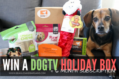 How to Keep Your Dog Entertained While You're Away | Stocking Stuffer Giveaways | Win a DOGTV Holiday Box and 6-Month Subscription | #sponsored by DOGTV