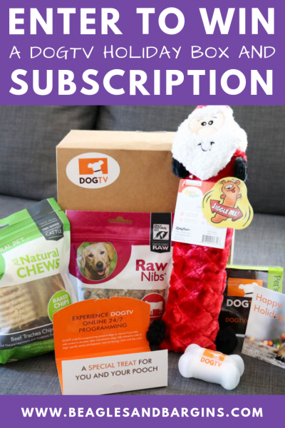 How to Keep Your Dog Entertained While You're Away | Stocking Stuffer Giveaways | Win a DOGTV Holiday Box and 6-Month Subscription | #sponsored by DOGTV