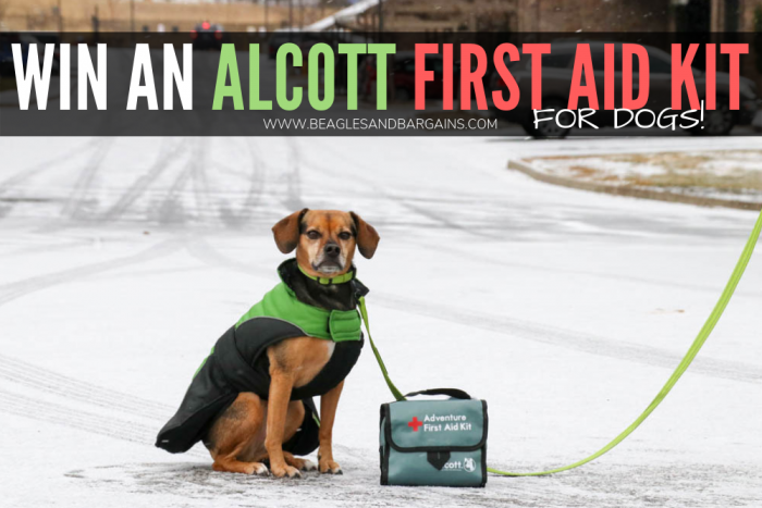 Must Have Items for Your Dog's First Aid Kit | Stocking Stuffer Giveaways | Win an Alcott First Aid Kit for Dogs | #sponsored by Alcott