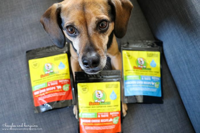 How to Entice Your Dog to Eat | Stocking Stuffer Giveaways | Win WellyTails BRAND NEW Kibble Topper - SUPERSAUCE | #sponsored by WellyTails