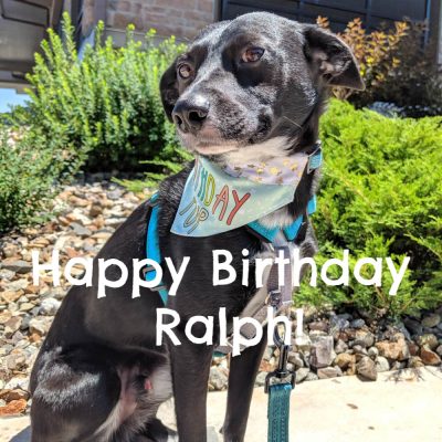 Happy Birthday Ralph!